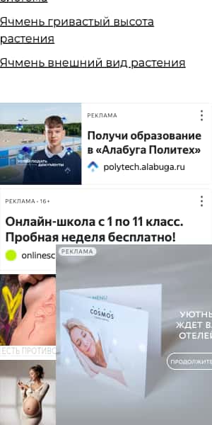 creative